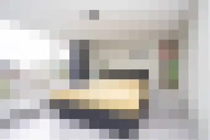 Milliadeplein 16 Berkel en Rodenrijs thumbnail 29