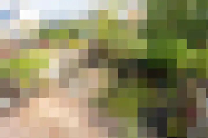 Milliadeplein 16 Berkel en Rodenrijs thumbnail 42