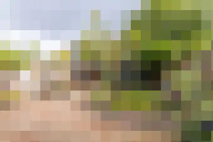 Milliadeplein 16 Berkel en Rodenrijs thumbnail 43
