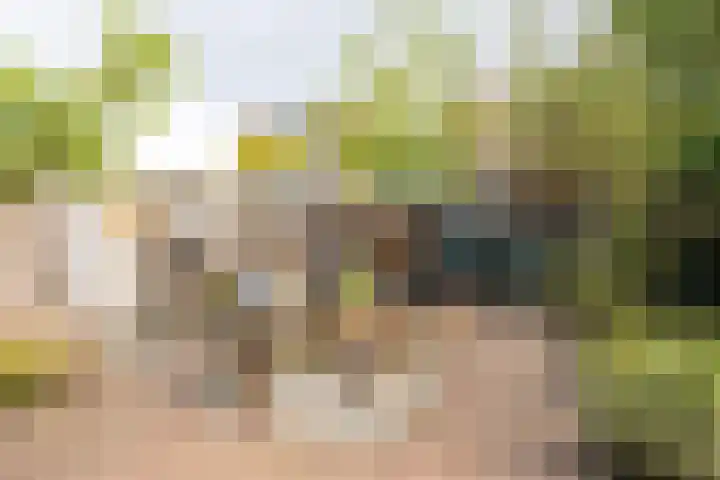 Milliadeplein 16 Berkel en Rodenrijs thumbnail 44