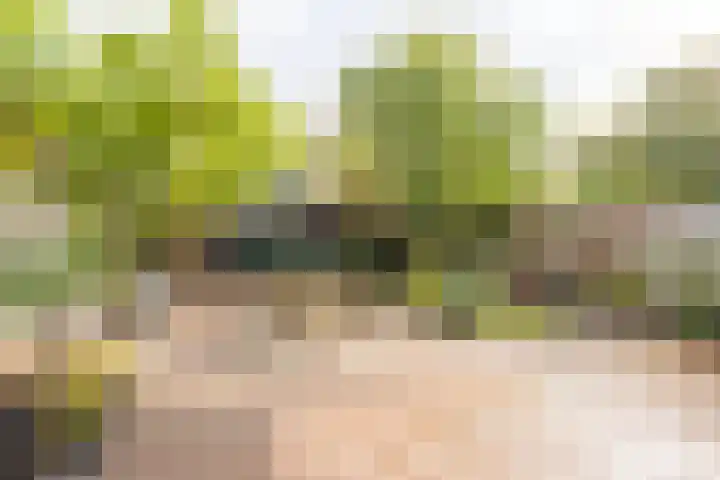 Milliadeplein 16 Berkel en Rodenrijs thumbnail 45