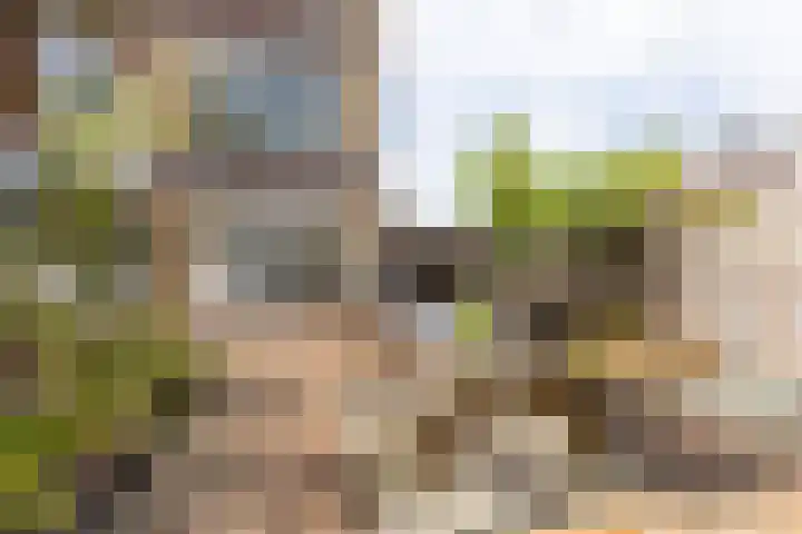 Milliadeplein 16 Berkel en Rodenrijs thumbnail 46
