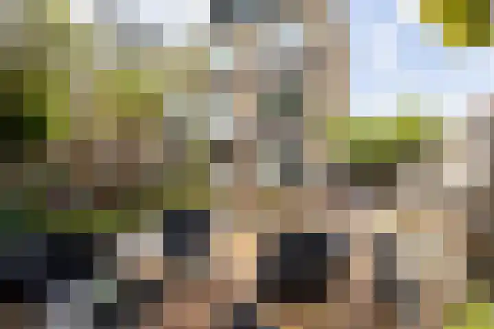 Milliadeplein 16 Berkel en Rodenrijs thumbnail 47