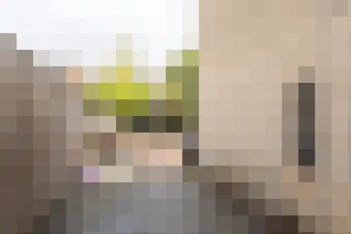 Milliadeplein 16 Berkel en Rodenrijs thumbnail 48