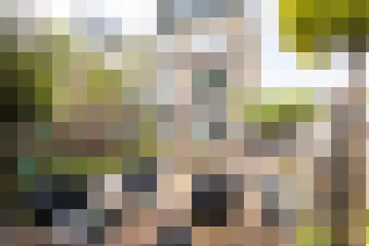 Milliadeplein 16 Berkel en Rodenrijs thumbnail 49