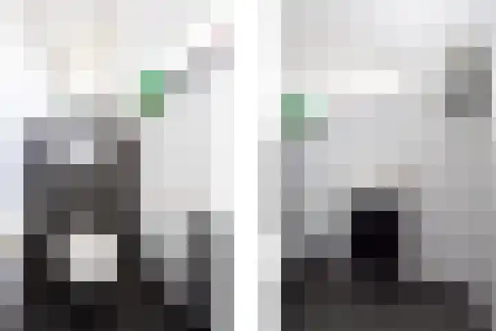 Milliadeplein 16 Berkel en Rodenrijs thumbnail 6