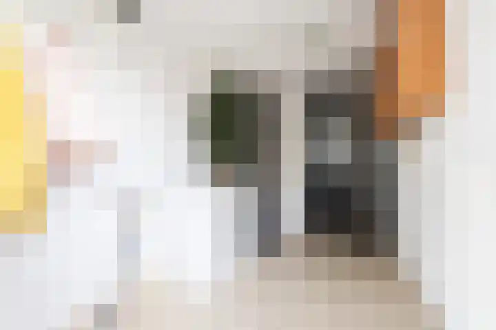 Milliadeplein 16 Berkel en Rodenrijs thumbnail 7