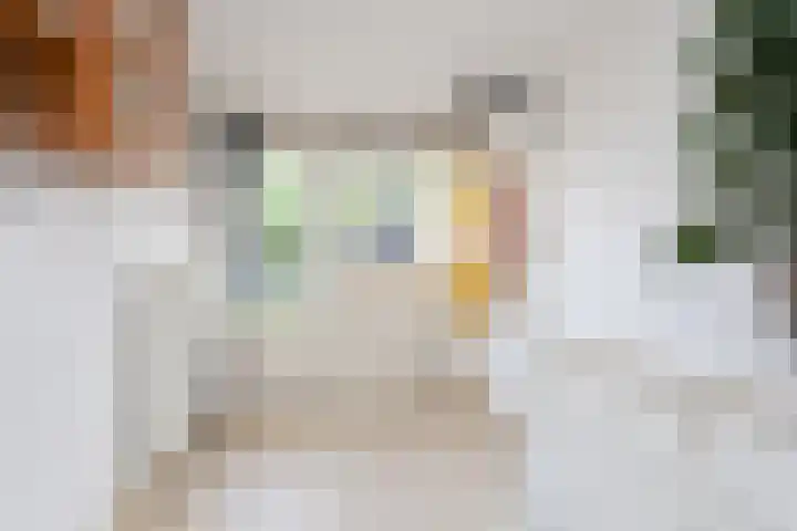 Milliadeplein 16 Berkel en Rodenrijs thumbnail 8