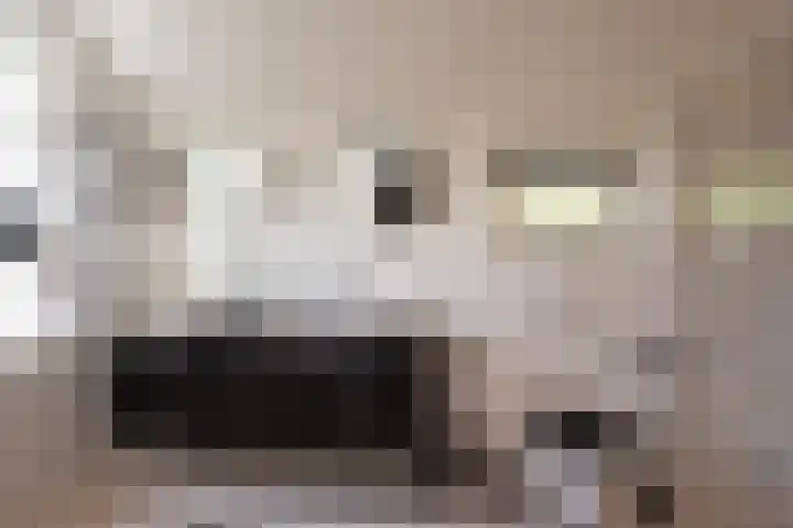 Milligerweg 4 Putten thumbnail 23