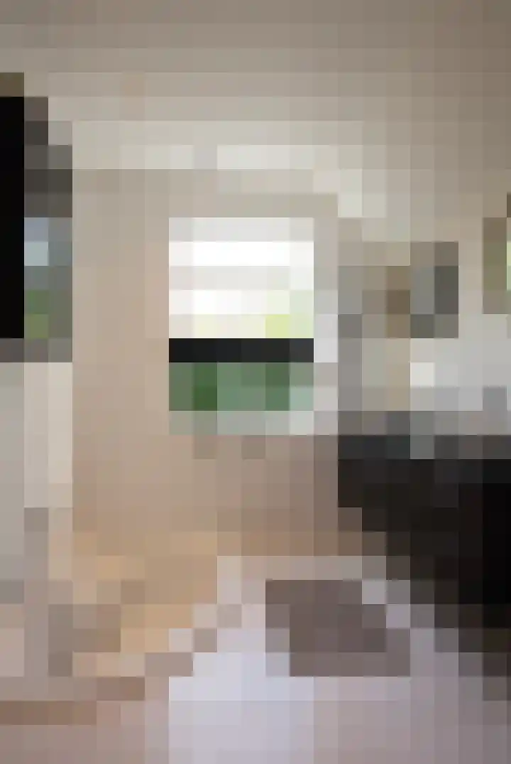 Milligerweg 4 Putten thumbnail 24