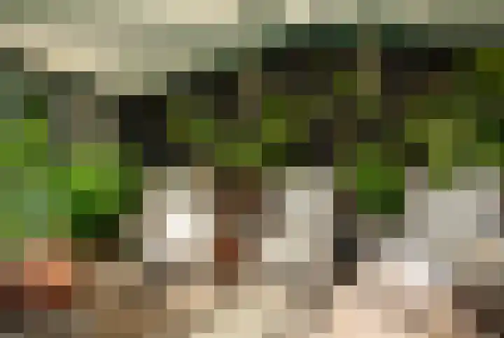 Milligerweg 4 Putten thumbnail 34