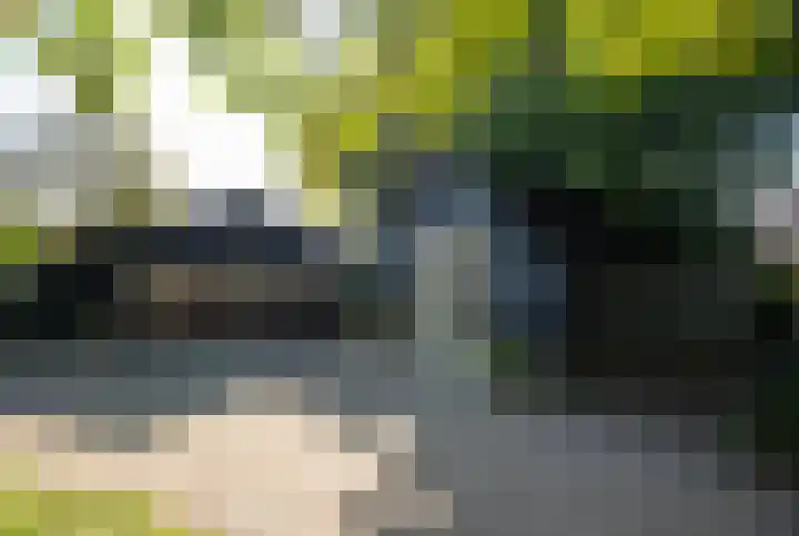 Milligerweg 4 Putten thumbnail 35