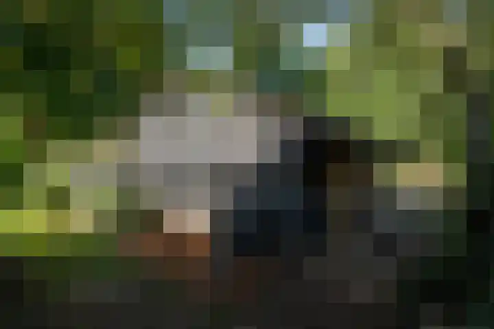 Milligerweg 4 Putten thumbnail 37