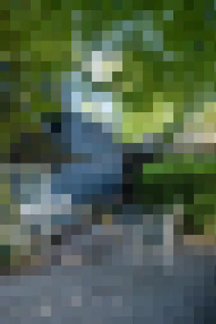 Milligerweg 4 Putten thumbnail 38