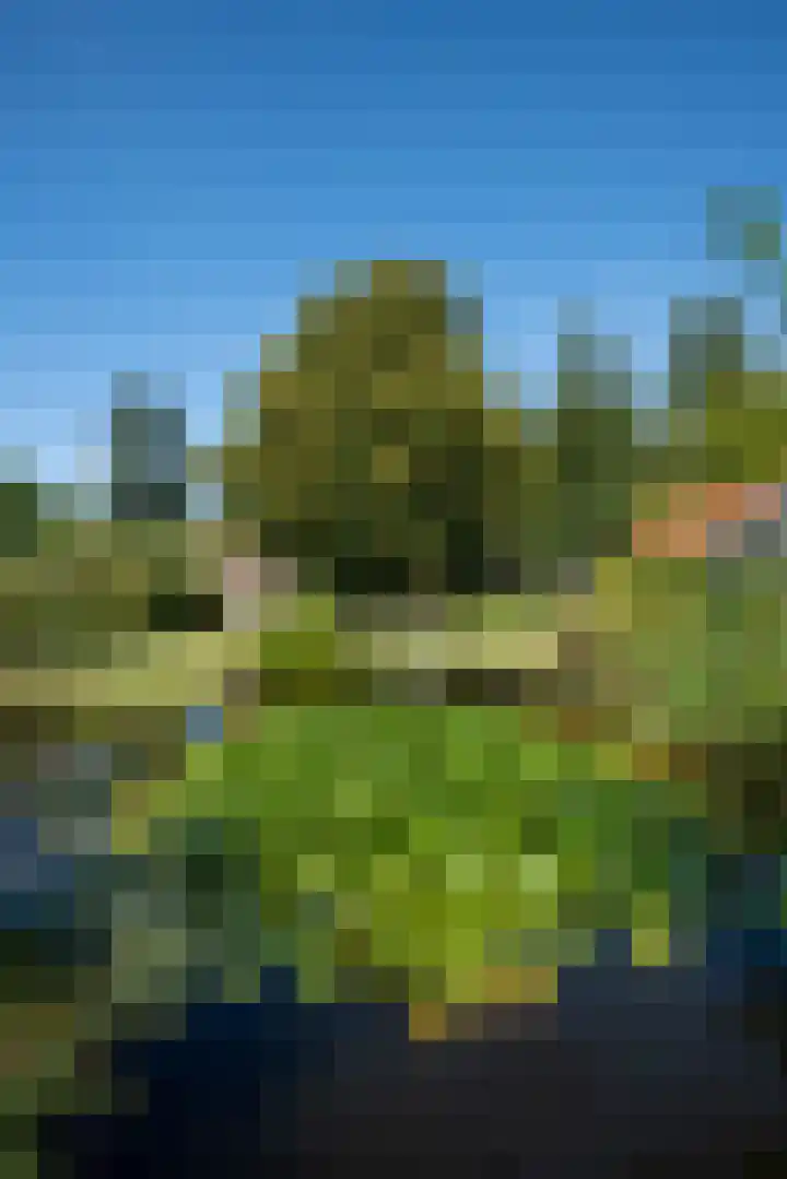 Milligerweg 4 Putten thumbnail 39