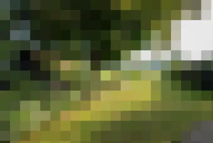 Milligerweg 4 Putten thumbnail 40