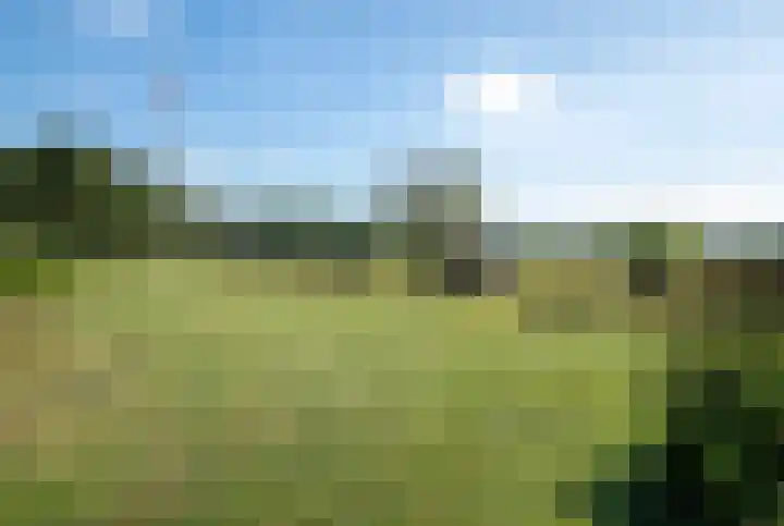 Milligerweg 4 Putten thumbnail 41