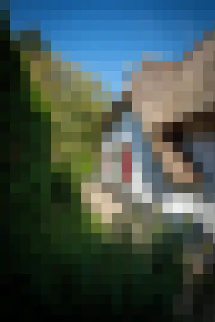 Milligerweg 4 Putten thumbnail 44