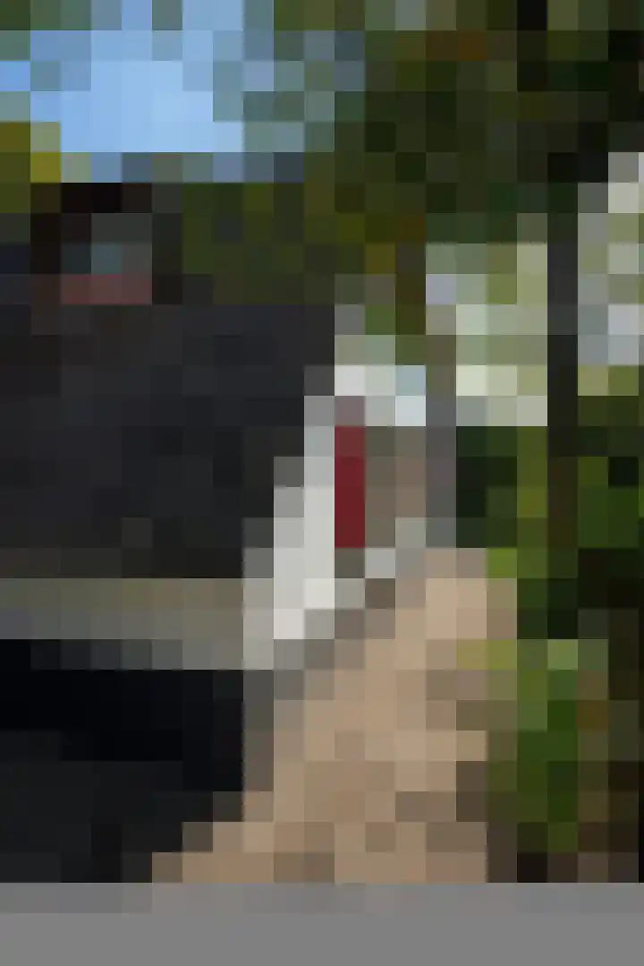 Milligerweg 4 Putten thumbnail 45