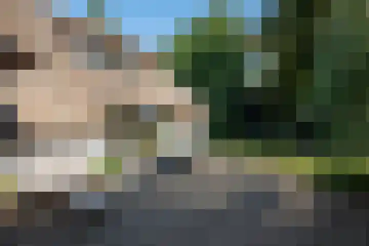 Milligerweg 4 Putten thumbnail 47