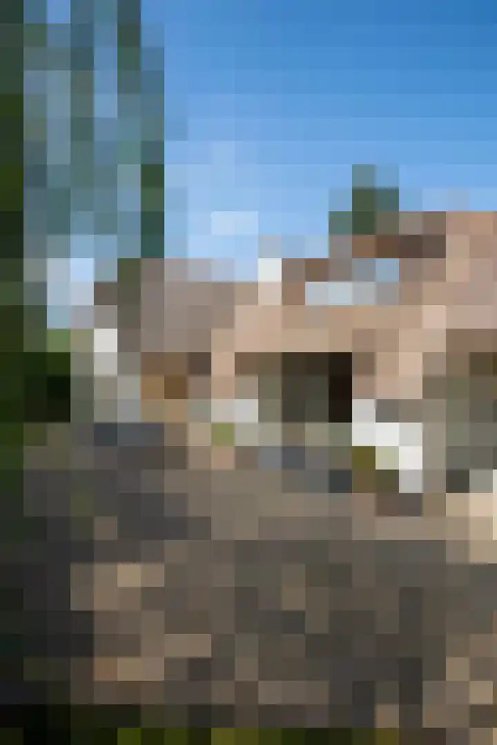 Milligerweg 4 Putten thumbnail 48