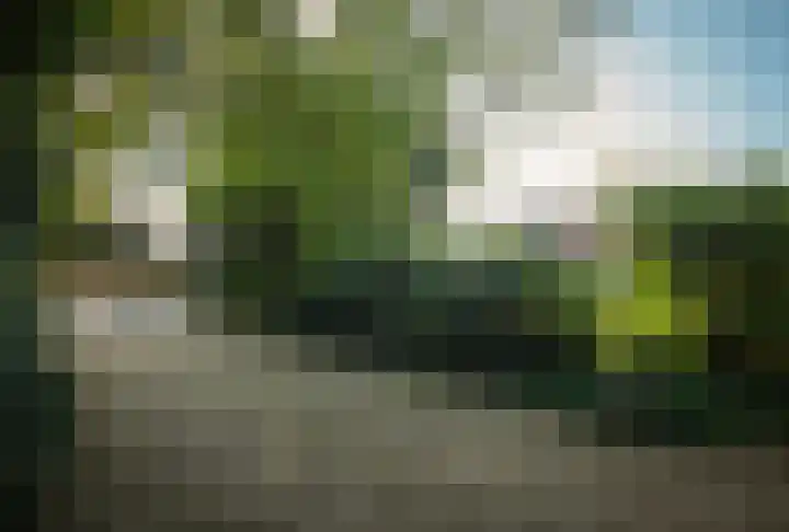 Milligerweg 4 Putten thumbnail 52
