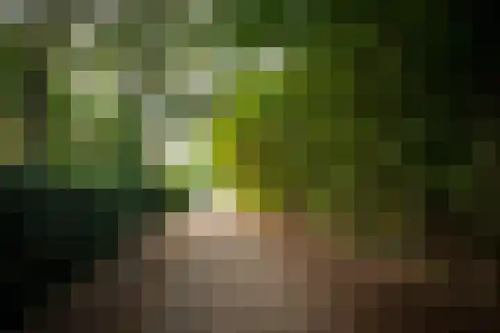 Milligerweg 4 Putten thumbnail 53