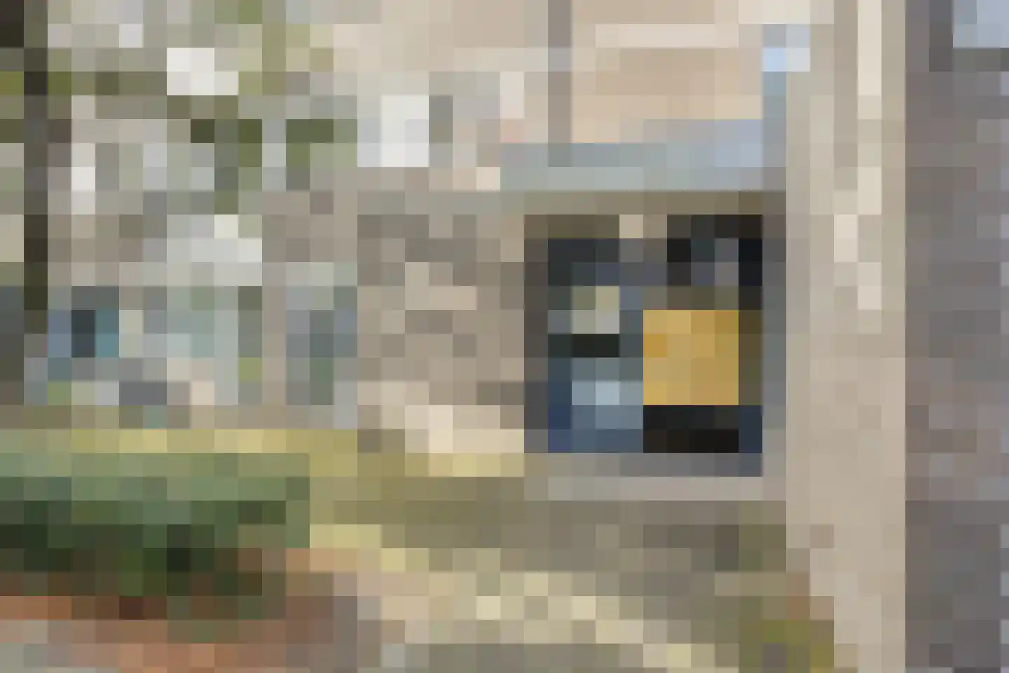 Millingenhof 163 Amsterdam thumbnail 35