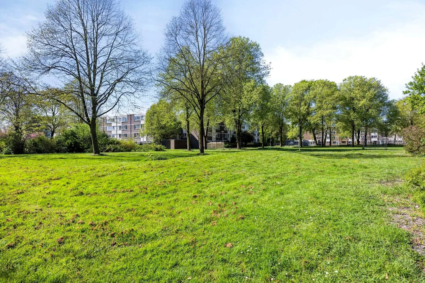 Millingenhof 171 Amsterdam thumbnail 18