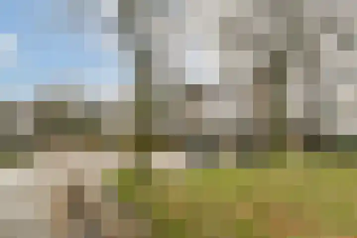 Millingenhof 200 Amsterdam thumbnail 18
