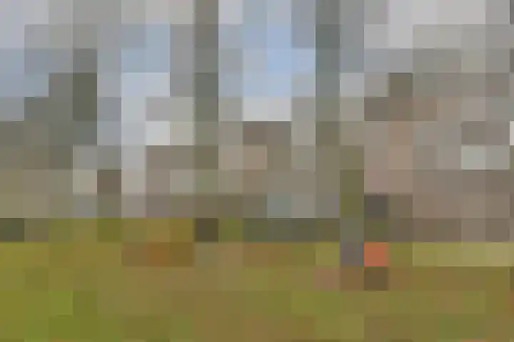 Millingenhof 200 Amsterdam thumbnail 20