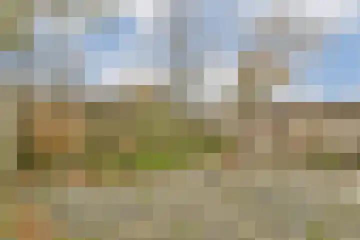 Millingenhof 200 Amsterdam thumbnail 4