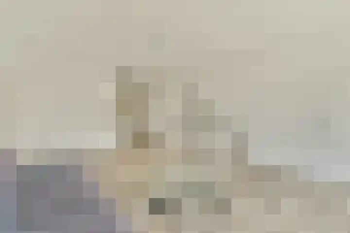 Millingenhof 200 Amsterdam thumbnail 7