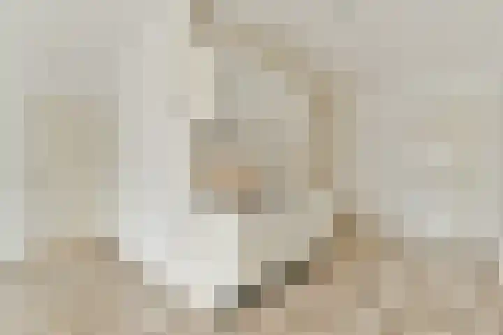 Millingenhof 200 Amsterdam thumbnail 8