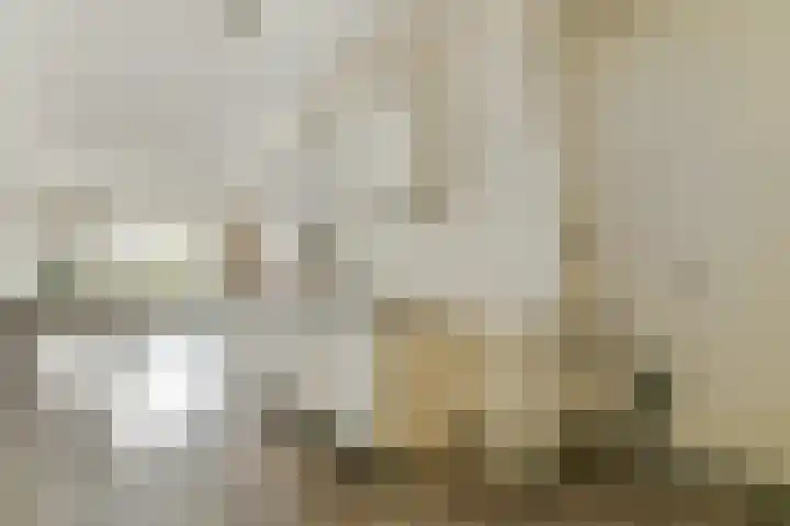 Millingenhof 200 Amsterdam thumbnail 9