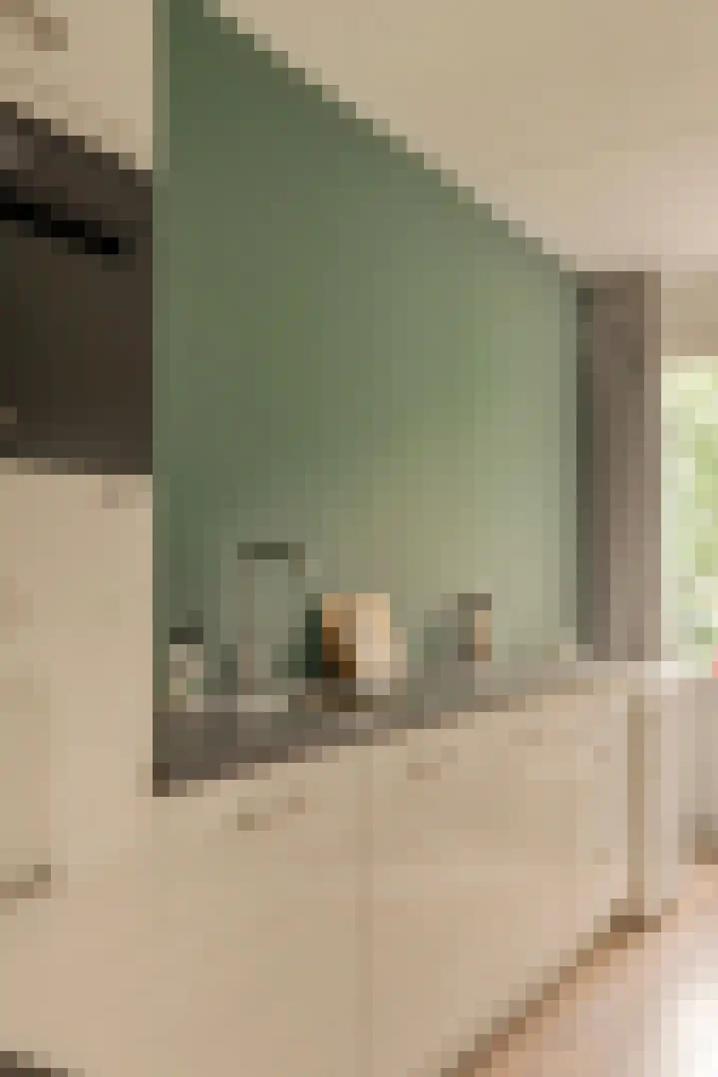 Millingenhof 217 Amsterdam thumbnail 13