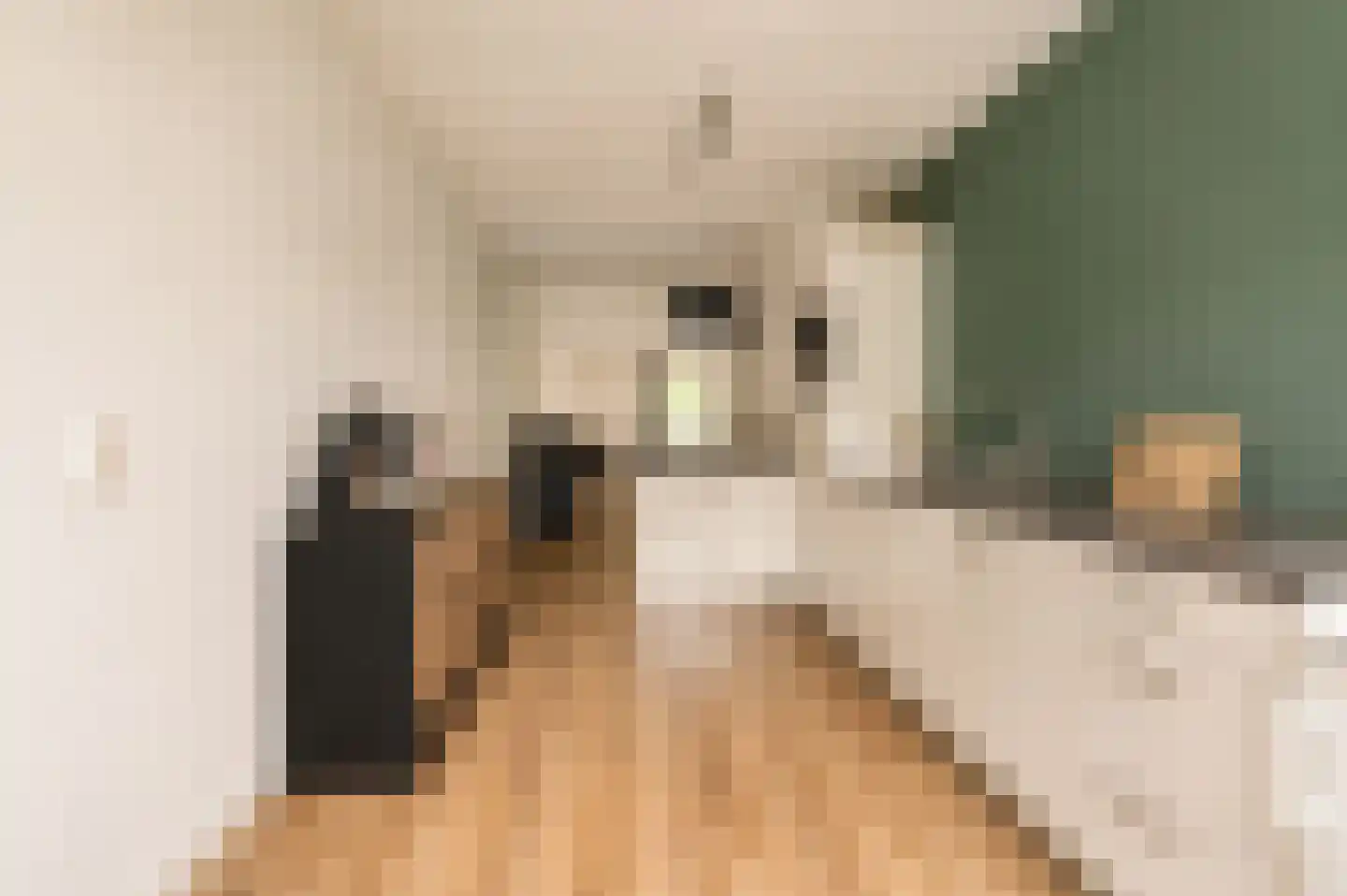 Millingenhof 217 Amsterdam thumbnail 15