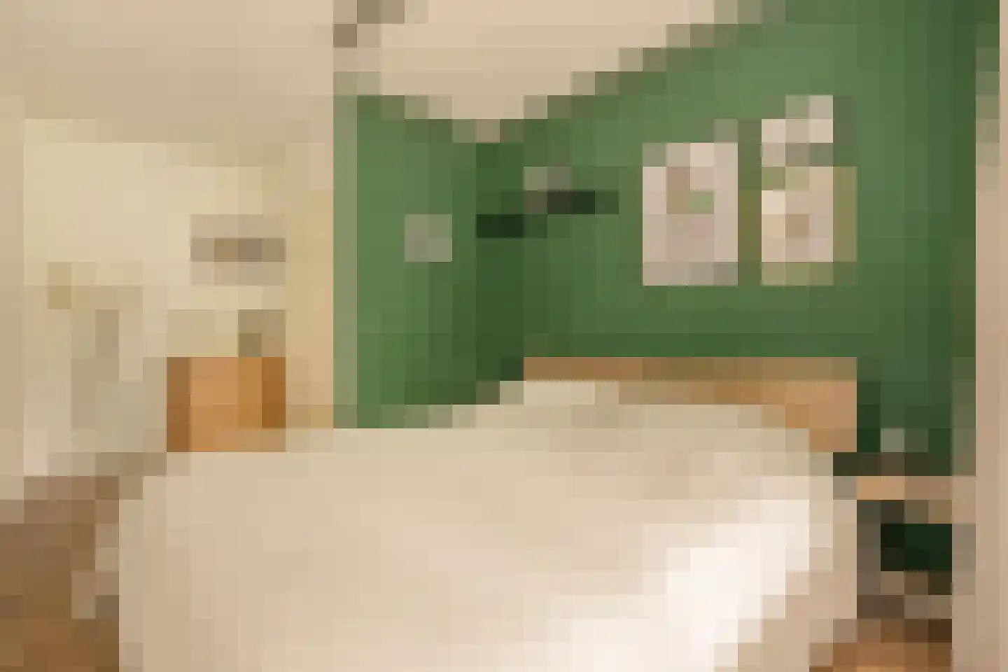 Millingenhof 217 Amsterdam thumbnail 16