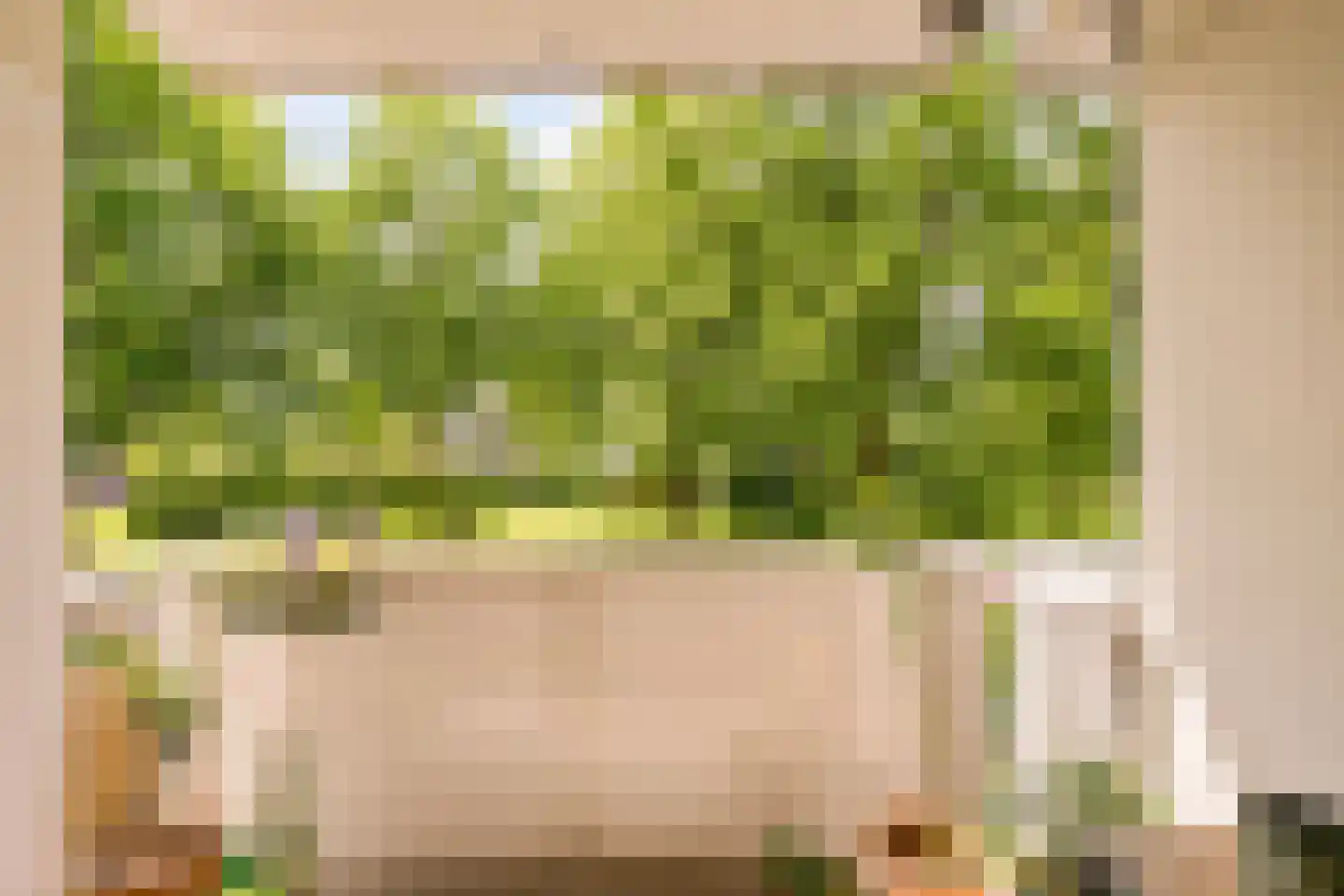 Millingenhof 217 Amsterdam thumbnail 18
