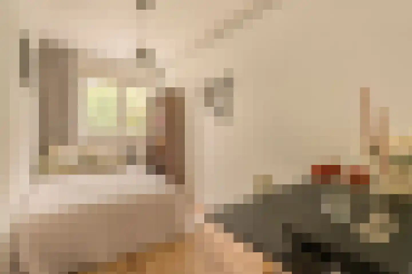 Millingenhof 217 Amsterdam thumbnail 21