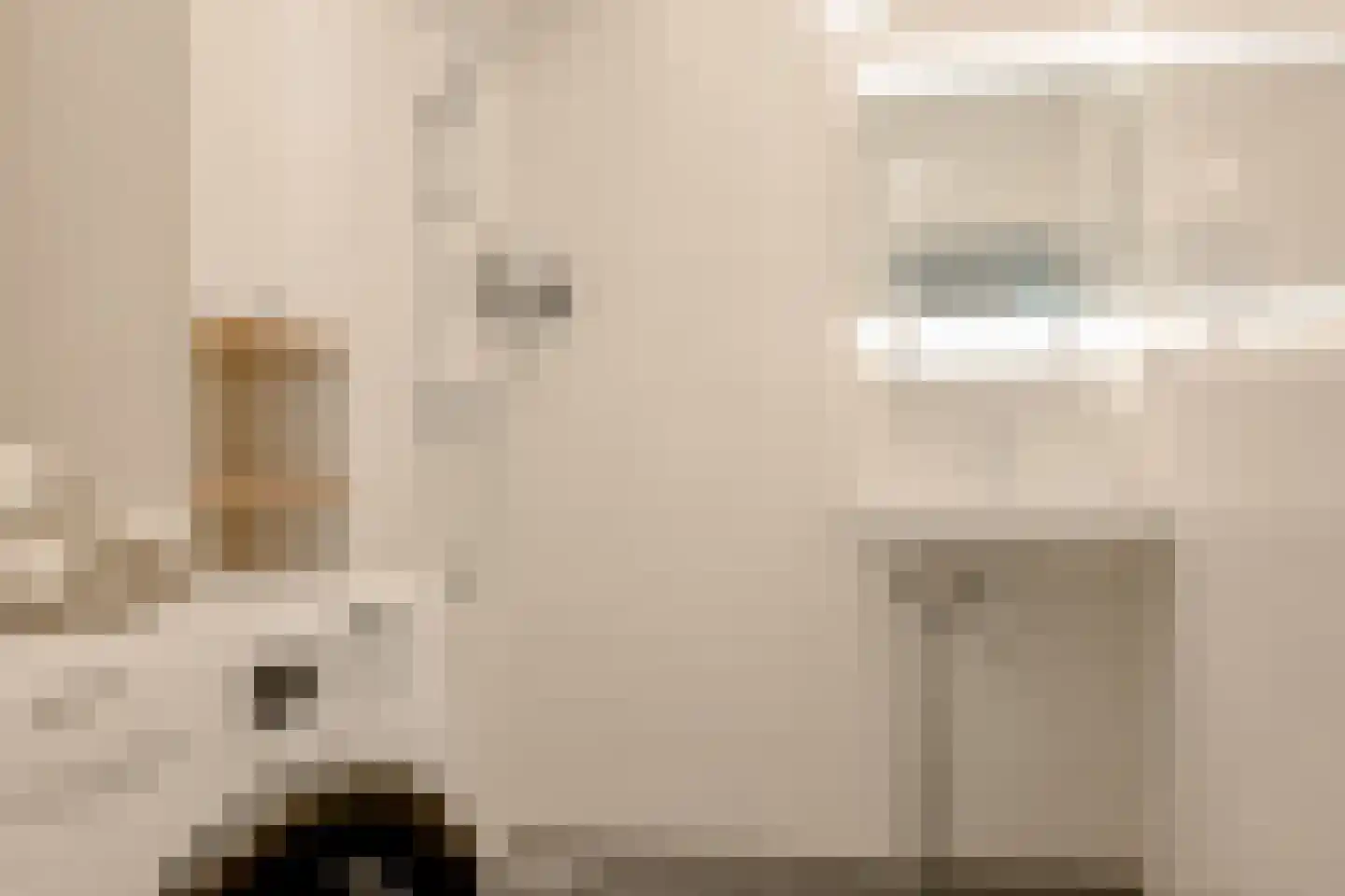 Millingenhof 217 Amsterdam thumbnail 23