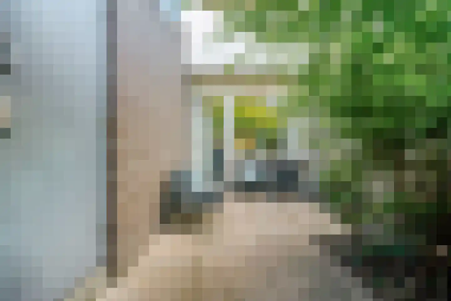 Millingenhof 270 Amsterdam thumbnail 21