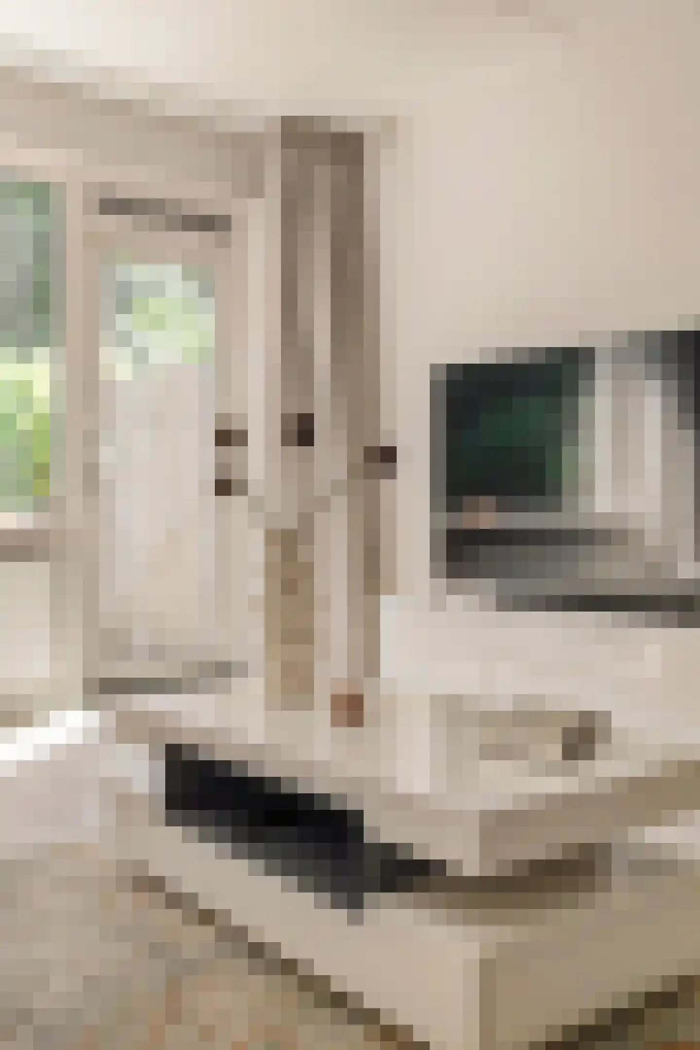 Millingenhof 270 Amsterdam thumbnail 7