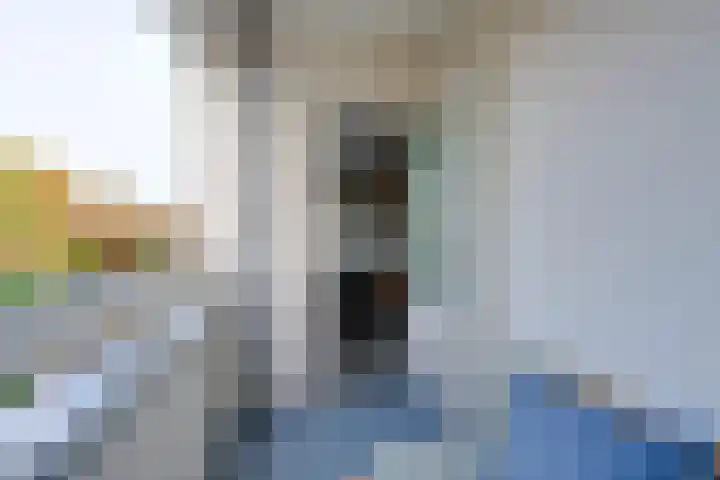 Millingenhof 284 Amsterdam thumbnail 22
