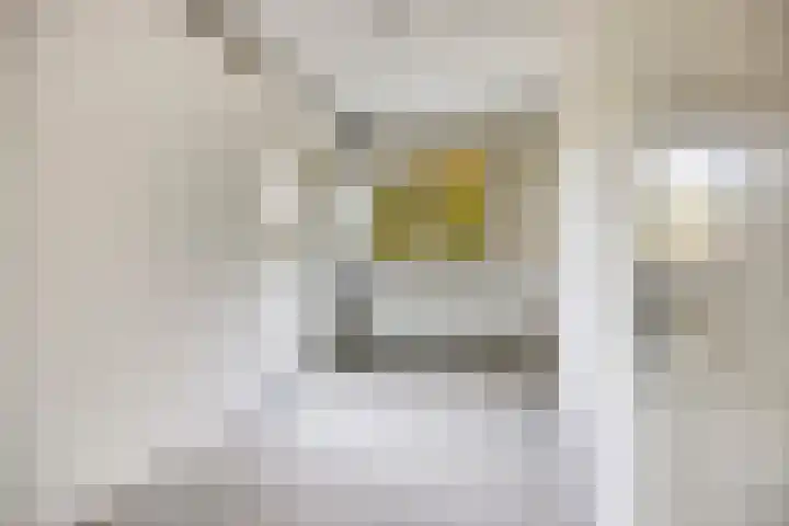 Millingenhof 287 Amsterdam thumbnail 11