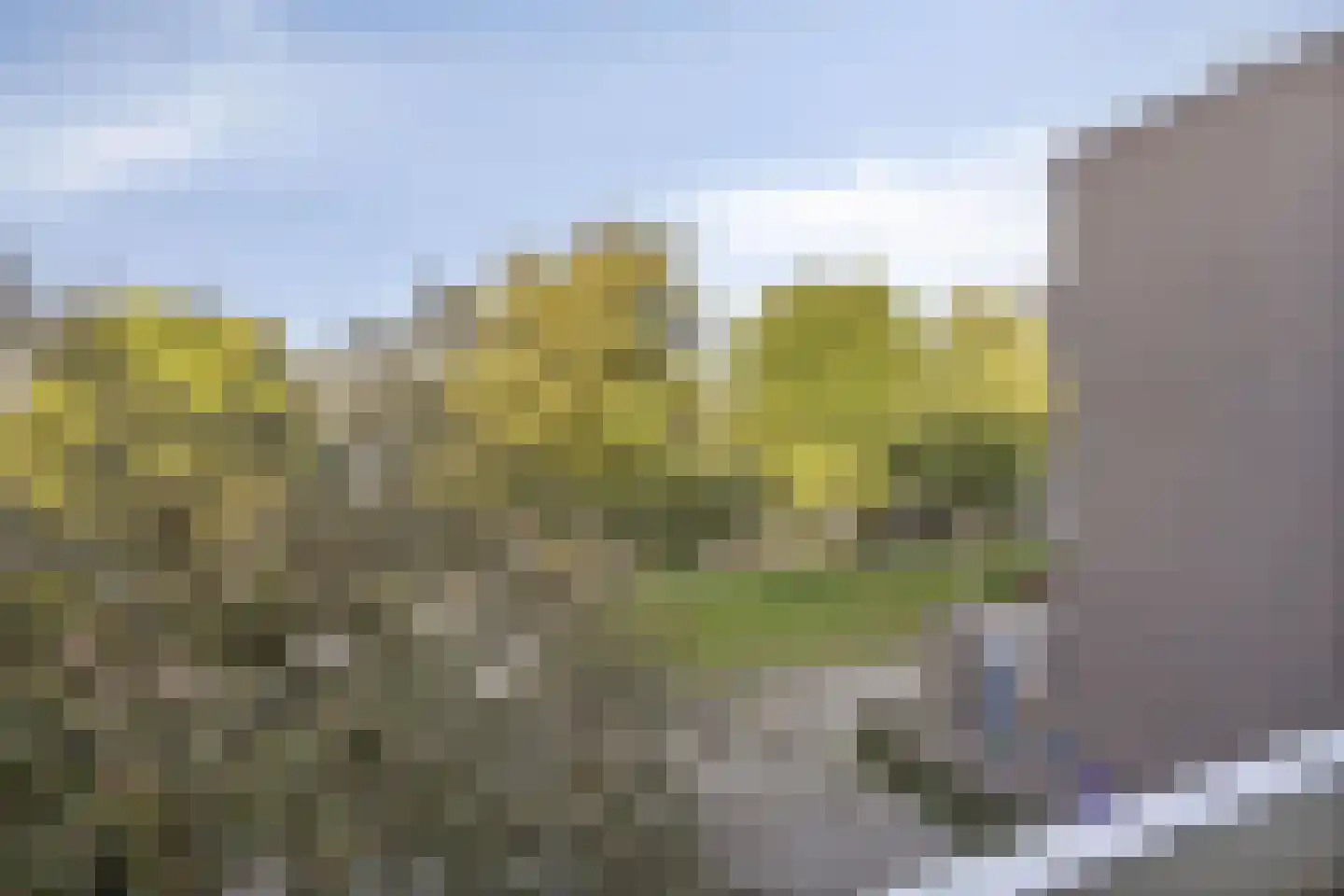 Millingenhof 292 Amsterdam thumbnail 10