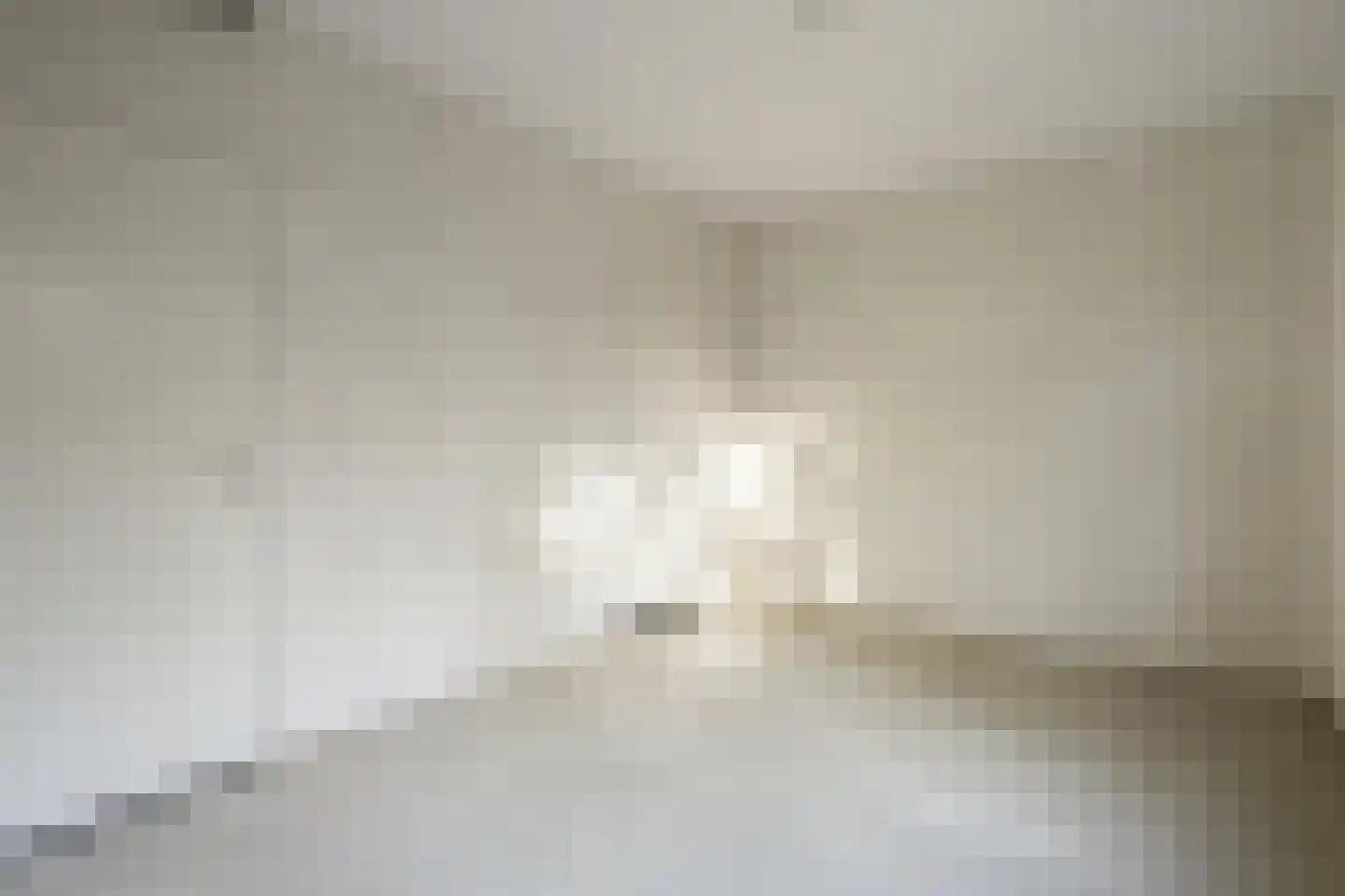 Millingenhof 292 Amsterdam thumbnail 16