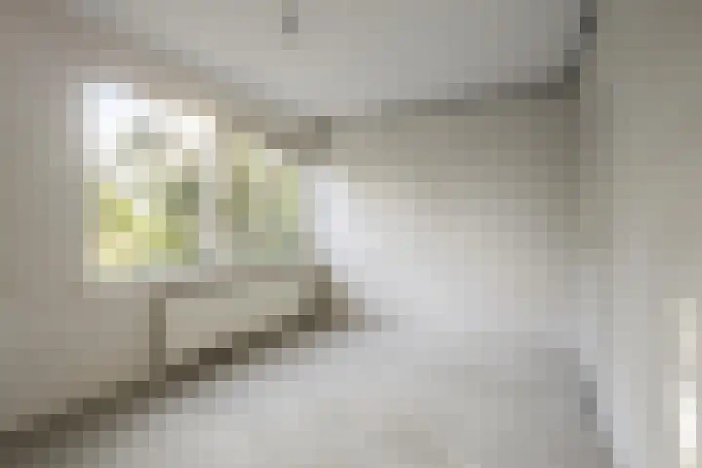 Millingenhof 292 Amsterdam thumbnail 17