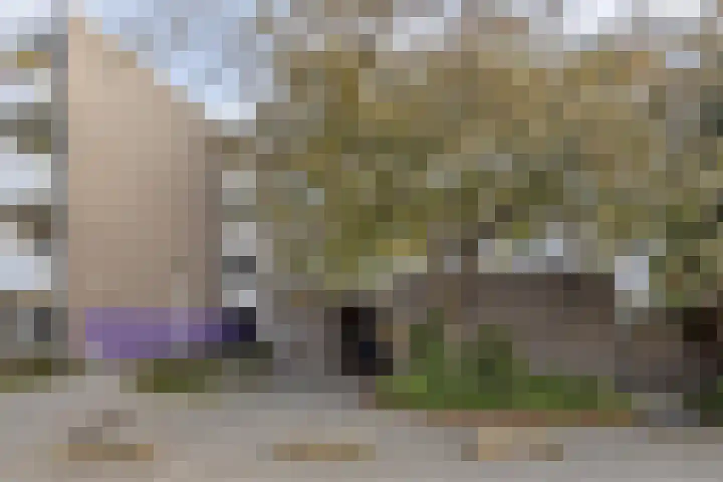 Millingenhof 292 Amsterdam thumbnail 4