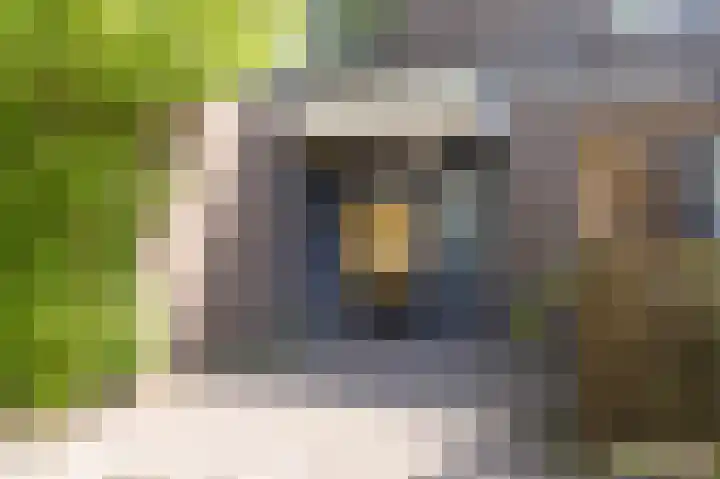 Millingenhof 342 Amsterdam thumbnail 34